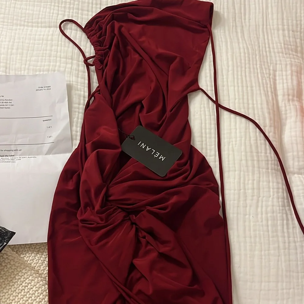 Melanie The Label Gia Gown Wine - Picture 3 of 8